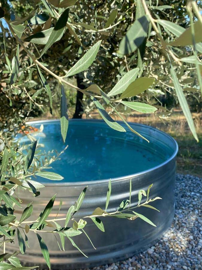 Camping für 2 Personen, mit Balkon und Terrasse sowie Garten und Kinderpool in Kalabrien