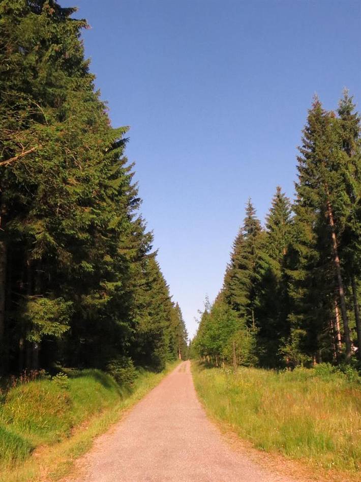 Pension für 2 Personen in Eibenstock - 3