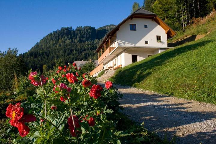 Location de vacances pour 2 personnes, avec terrasse ainsi que jardin et vue à Solčava - 2