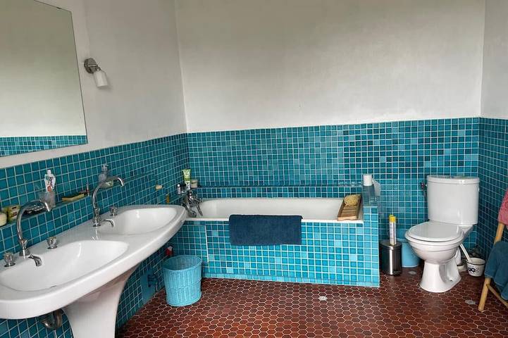 Gîte pour 14 personnes, avec jardin à Baurech - 2