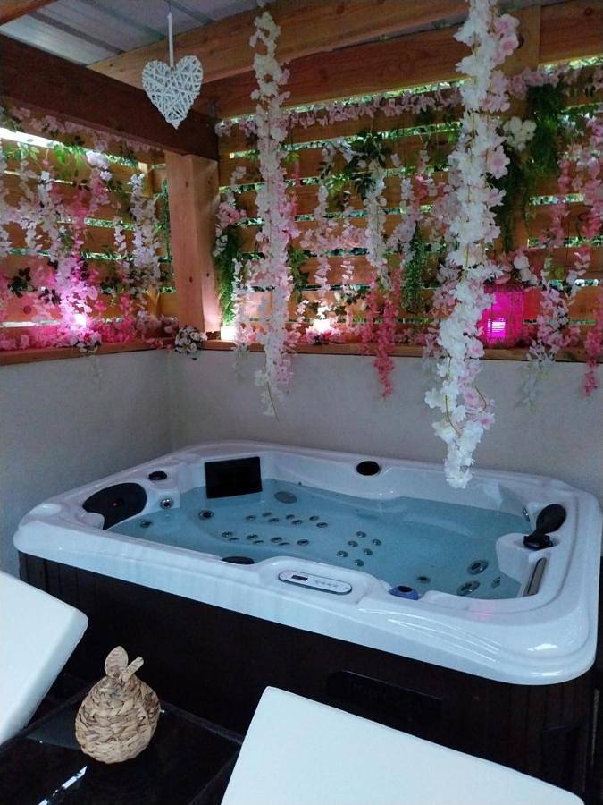 Gîte pour 2 personnes, avec jardin et piscine ainsi que sauna et jacuzzi à Malves-en-Minervois - 3