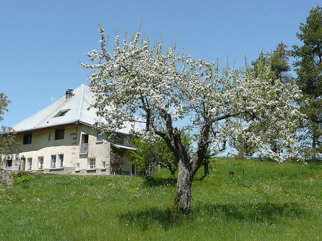 La Haute-Combe in Saint-Vincent-les-Forts, Région de Barcelonnette