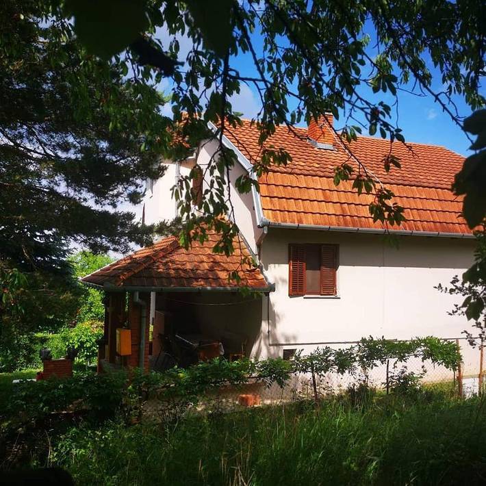 Location de vacances pour 15 personnes, avec bassin pour enfant et jardin ainsi que piscine et jacuzzi à Novi Sad - 2