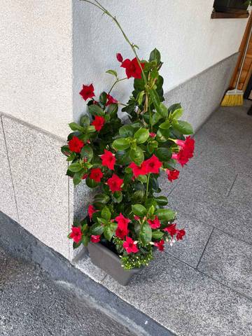 Ferienwohnung für 4 Personen in See, Tiroler Oberland, Bild 4