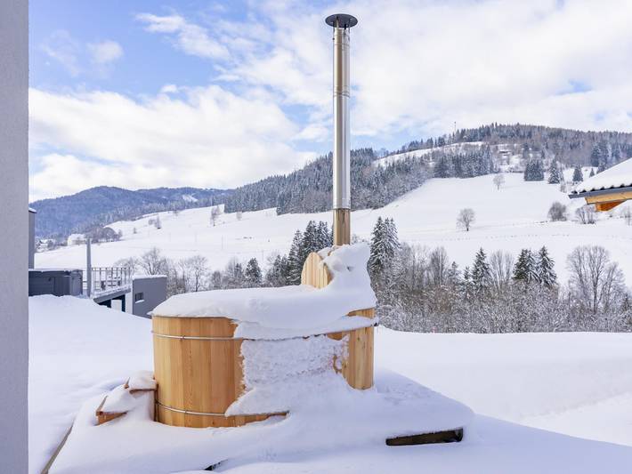 Ferienhaus für 6 Personen, mit Garten und Sauna sowie Whirlpool, mit Haustier in St. Lambrecht - 2