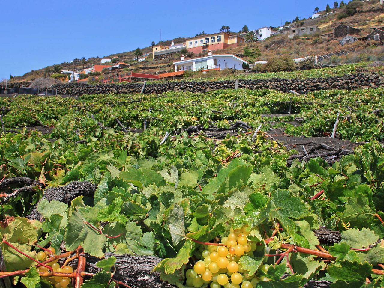 Sitio La Era in Fuencaliente de la Palma, La Palma Süd