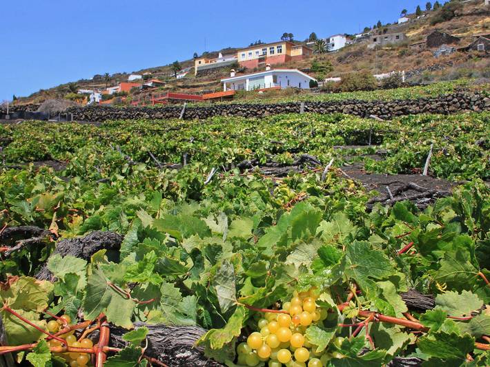 Sitio La Era in Fuencaliente de la Palma, La Palma Süd