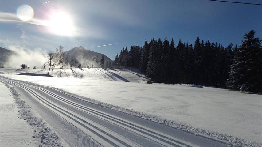 Ferienwohnung für 5 Personen, mit Garten und Balkon, kinderfreundlich in Ramsau am Dachstein