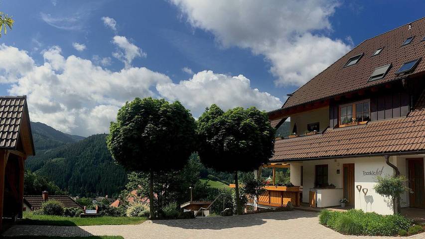 Ferienwohnung für 4 Personen, mit Garten in Simonswald