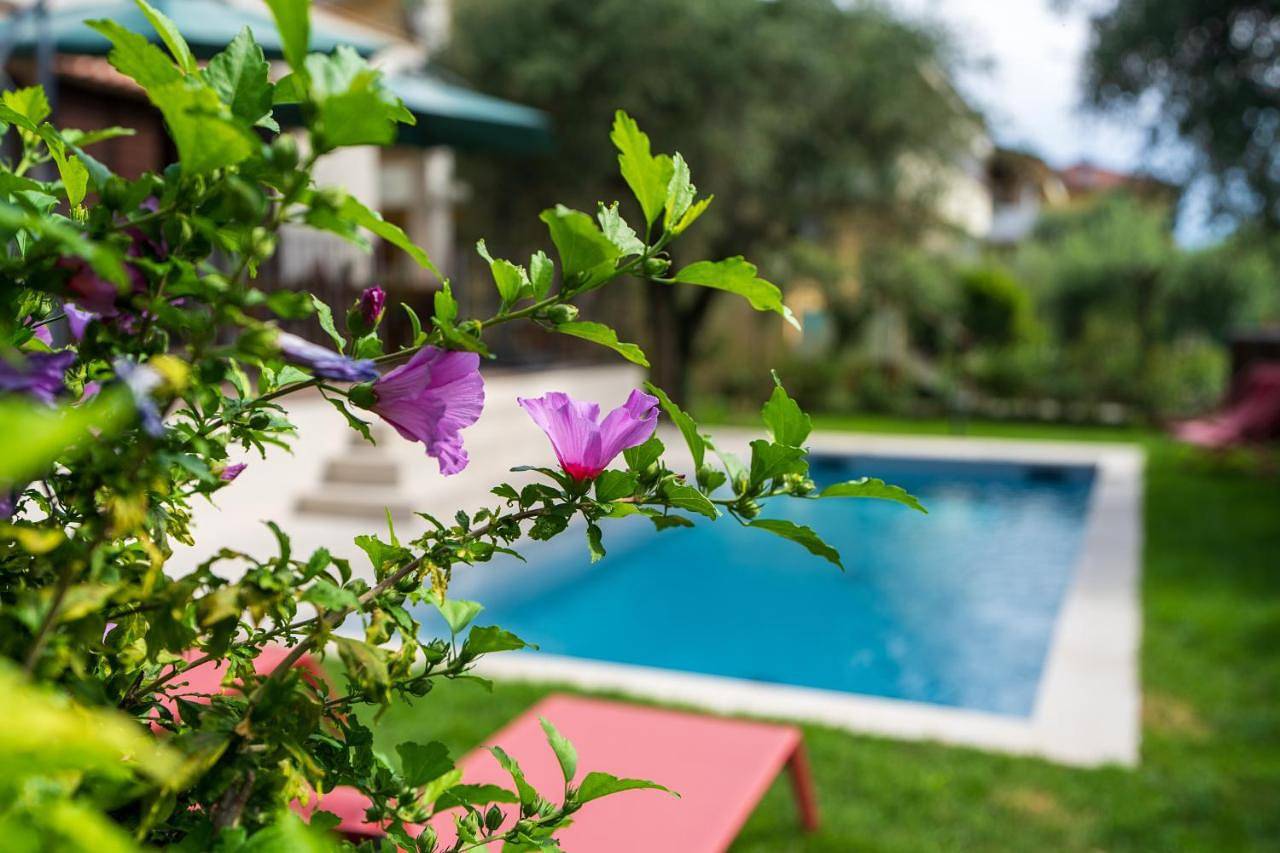 Villa Acqua Blu Gorgeous villa with ample garden in Maderno, Toscolano-Maderno
