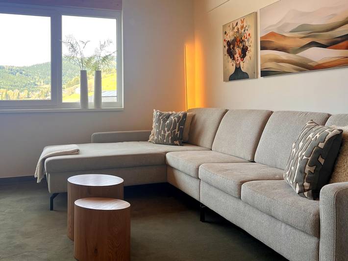 Ferienhaus für 8 Personen, mit Terrasse und Sauna in St. Lambrecht - 2