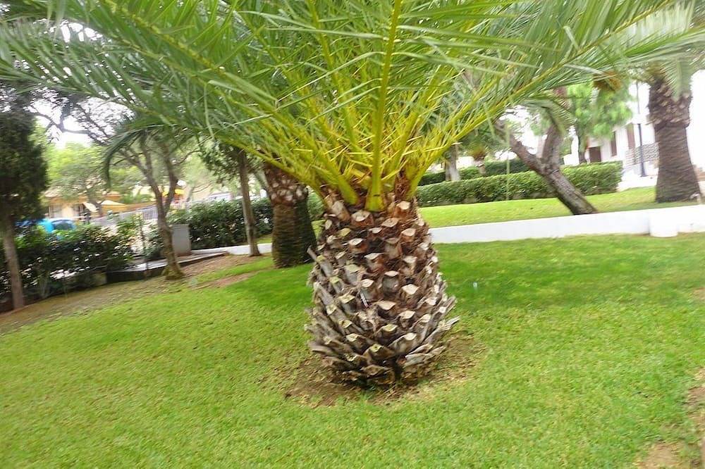 Apartamento entero, Precioso Apartamento Duplex 206 El Pino en Cala Ferrera in Cala Serena, Felanitx