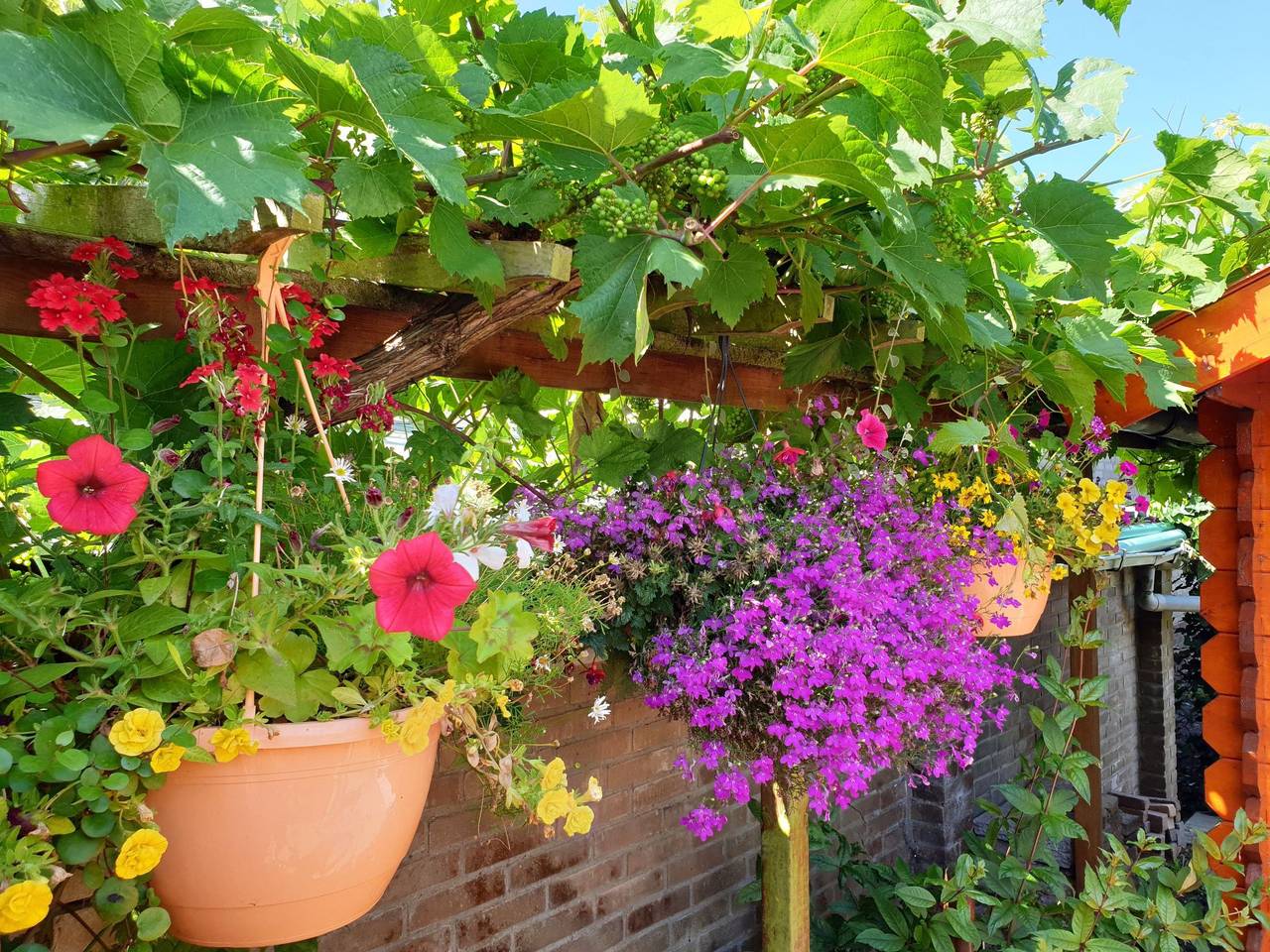 Sommerhaus Klein Wimmenum, Nähe Strand und Dünen in Egmond aan den Hoef, Noord-Holland - Nordseeküste