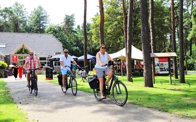 Camping voor 4 Personen in Kasterlee, Antwerpen en omgeving, Afbeelding 3