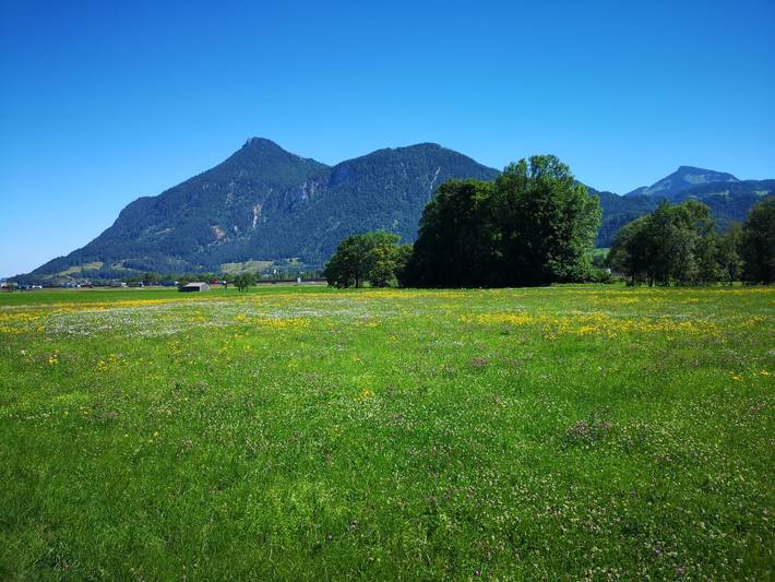 Ferienwohnung für 4 Personen, mit Terrasse und Seeblick in Oberaudorf - 2