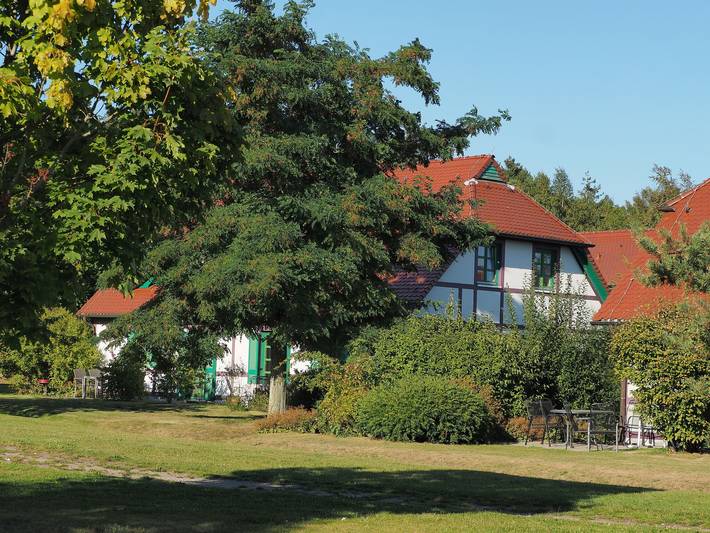 Ferienwohnung für 3 Personen, mit Pool und Sauna, kinderfreundlich in Dranske - 2