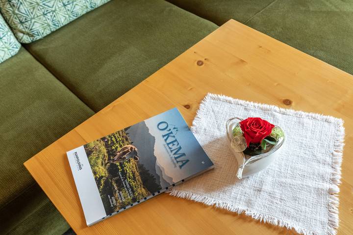 Ganze Ferienwohnung, Berggasthaus Steinberg-Alm inkl. Chiemgaukarte - Ferienwohnung Sophia 34qm, Balk., Kochni., 1 Schlafzimmer, Wohnzimmer, max 2 P. in Ruhpolding, Bayerische Alpen