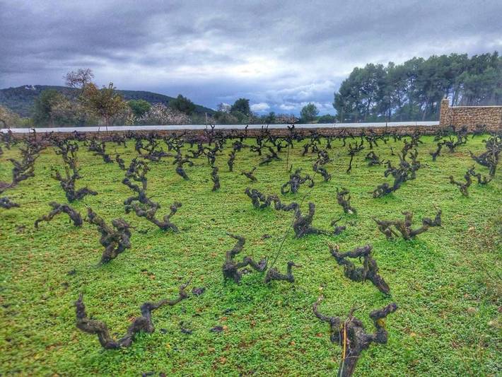 Casa de familia para 2 personas, con jardín además de piscina y vistas en las Islas Baleares - 4