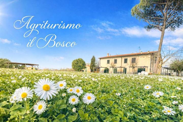Landhaus für 4 Personen, mit Pool und Ausblick sowie Garten, kinderfreundlich in Castagneto Carducci - 2