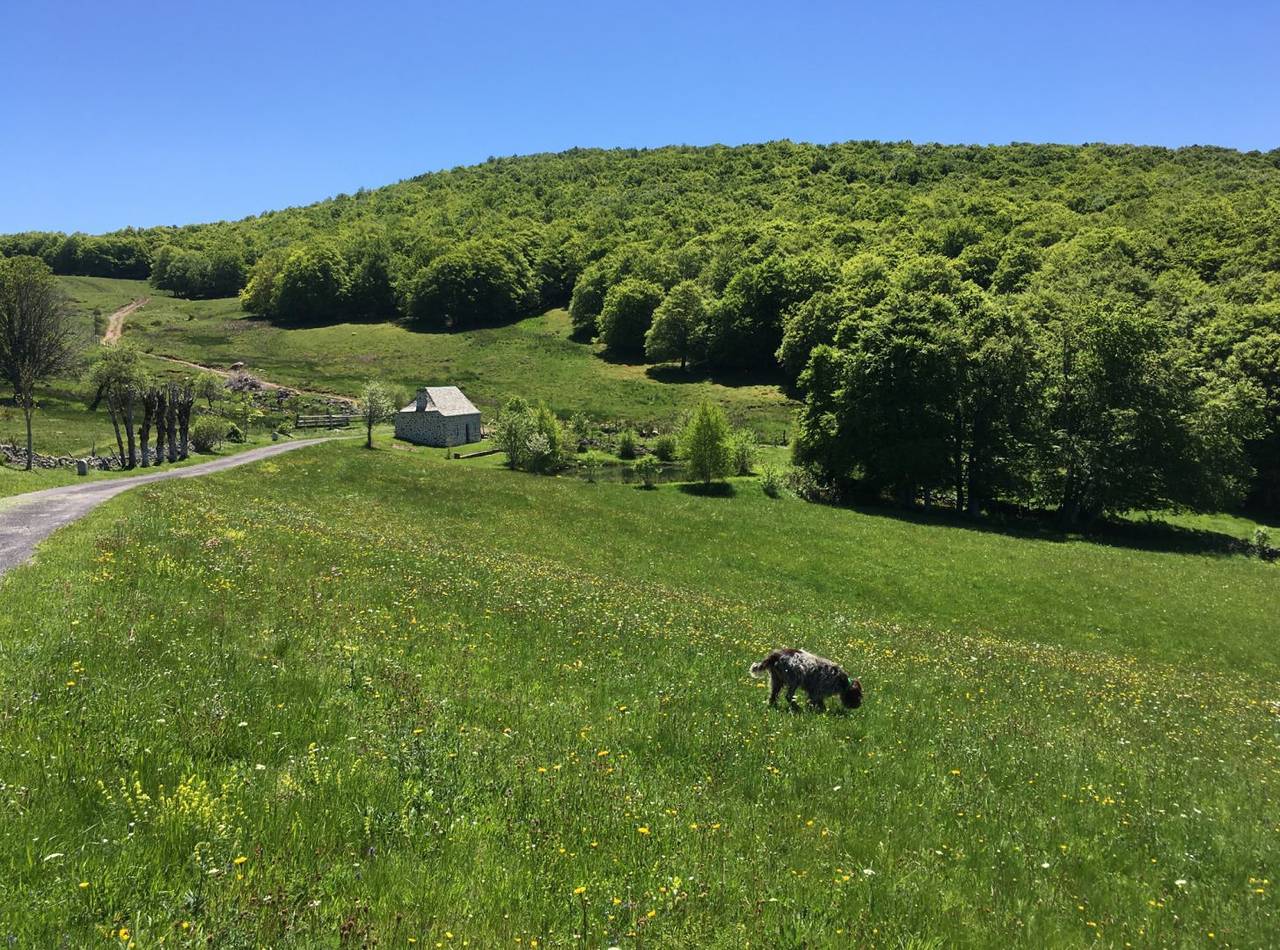 Le Buron de Jean de Bel Air en Aubrac in Laguiole, Massif central