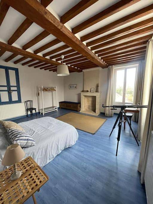 Location de vacances pour 11 personnes, avec jardin à Ver-sur-Mer - 2