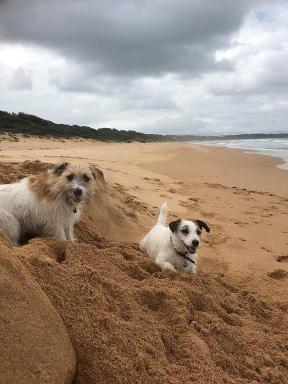 Holiday home for 6 people, with garden and balcony, with pets in Culburra Beach