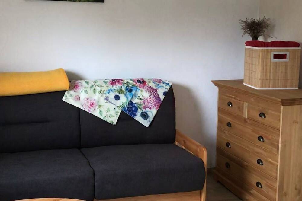 Ganze Wohnung, Auf der Sonnenseite in Zwota, Klingenthal