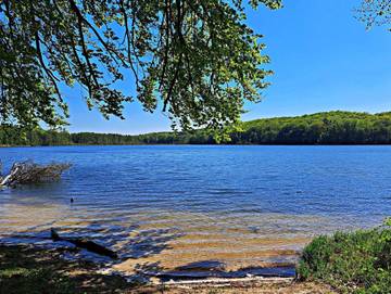 Bungalow für 3 Personen in Korswandt, Usedom, Bild 4