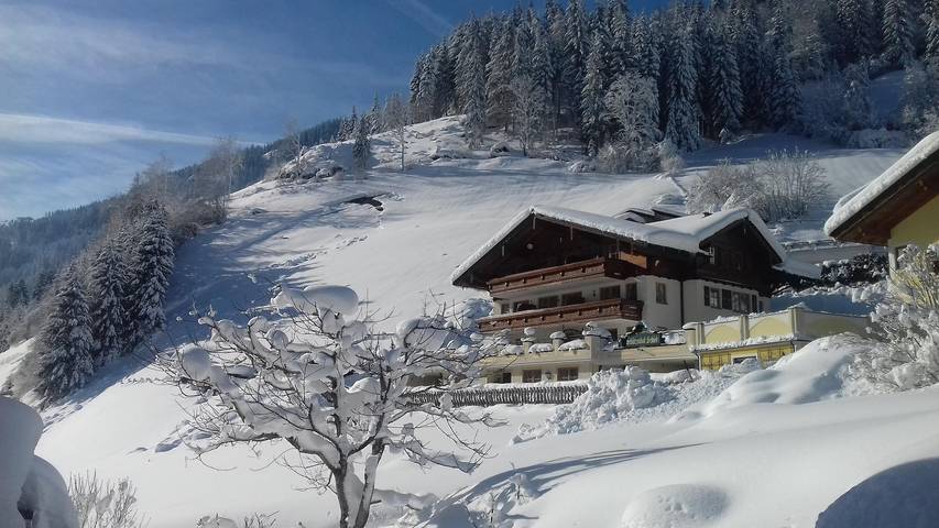 Ferienwohnung für 3 Personen, mit Sauna und Garten, kinderfreundlich in Großarl - 2