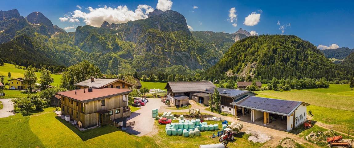Bauernhof für 6 Personen, mit Sauna und Garten, mit Haustier im Salzkammergut - 3