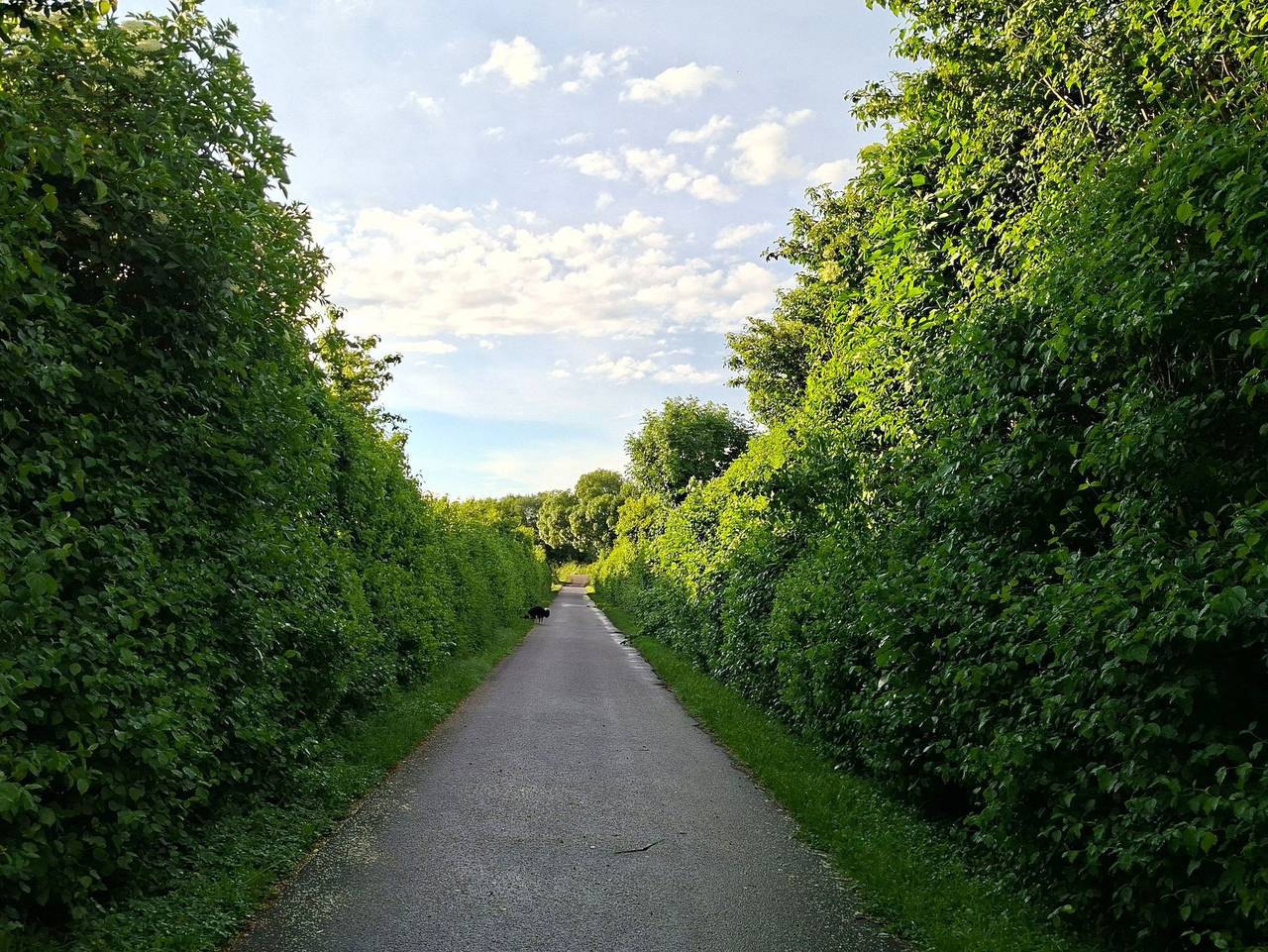 Ganze Ferienwohnung, Ferienwohnung Utkiek in Warsin, Vogelsang-Warsin