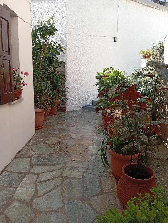 Gîte pour 2 personnes, avec Balcon et Terrasse dans Agios Ioannis (Zagora–Mouresi) - 3