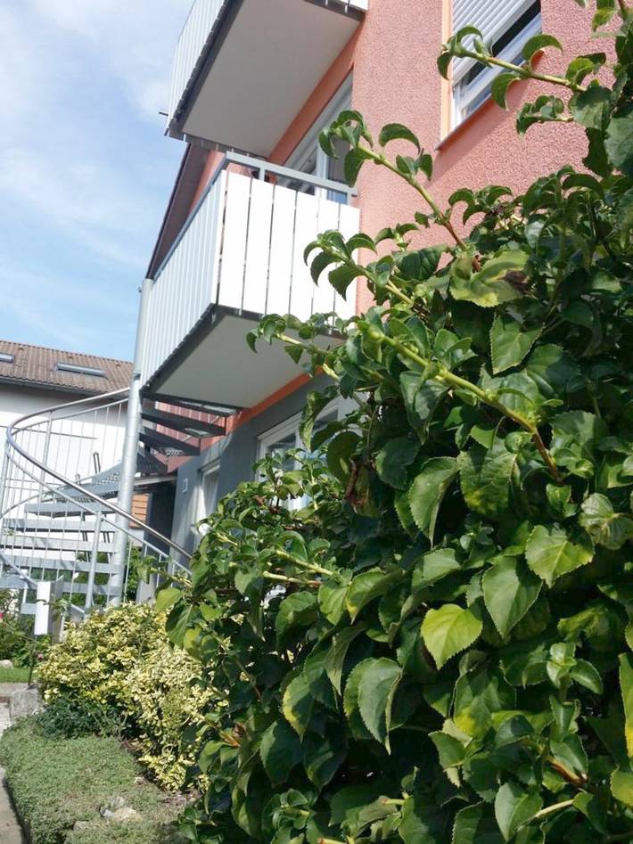 Ferienwohnung für 2 Personen, mit Garten und Ausblick in Weißensberg - 2