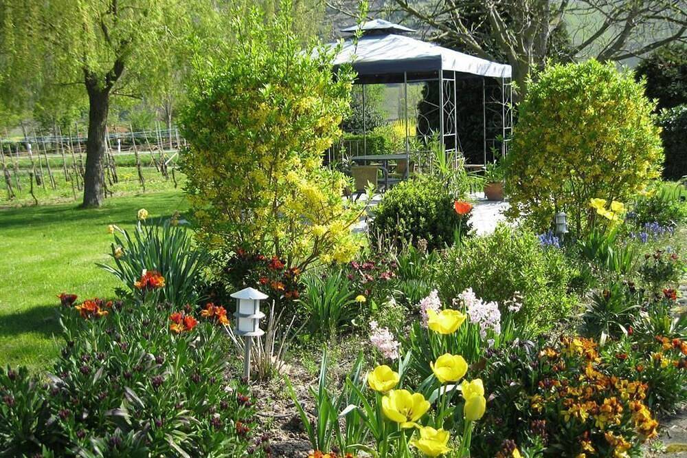 3-slaapkamer appartement Dornfelder - Ferienweingut Wolfgang Bollig - Inh. M. Bollig in Trittenheim, Moseleifel