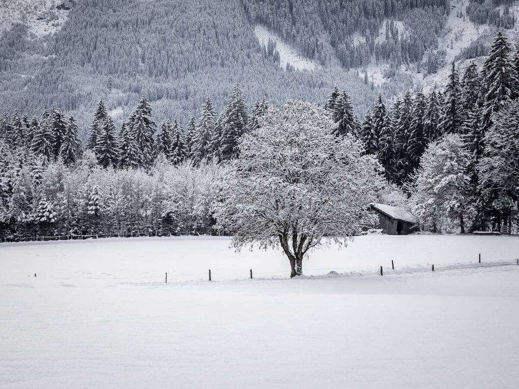 Fam. Gruber Hansenbauer in Saalfelden am Steinernen Meer, Pinzgau
