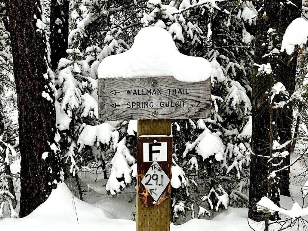 Ganze Wohnung, Guests Say: \"Meticulously Clean\" and \"Absolutely Beautiful!\" in Missoula, Lolo Nationalwald