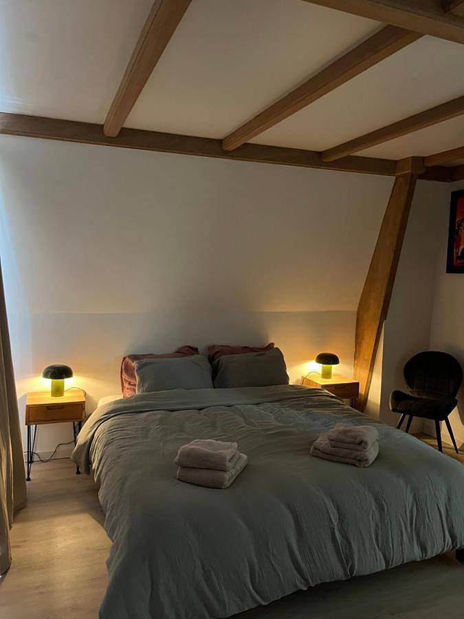 Location de vacances pour 4 personnes, avec jardin et vue à Gouda - 3