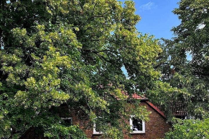 Ferienwohnung für 4 Personen, mit Garten in Laage - 4