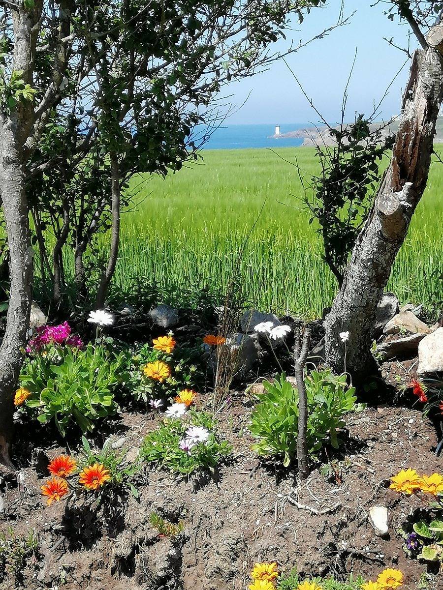 Gîte für 6 Personen mit Garten in Le Conquet, Brest und Umgebung