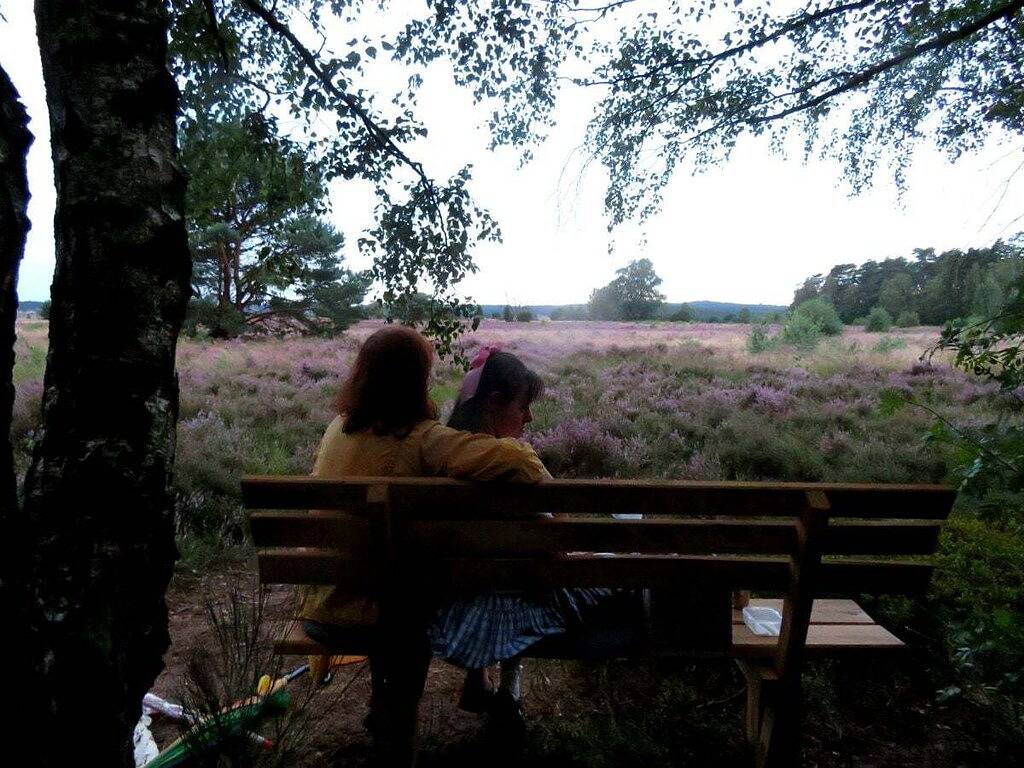 Haus Heckenrose in Undeloh, Nordheide