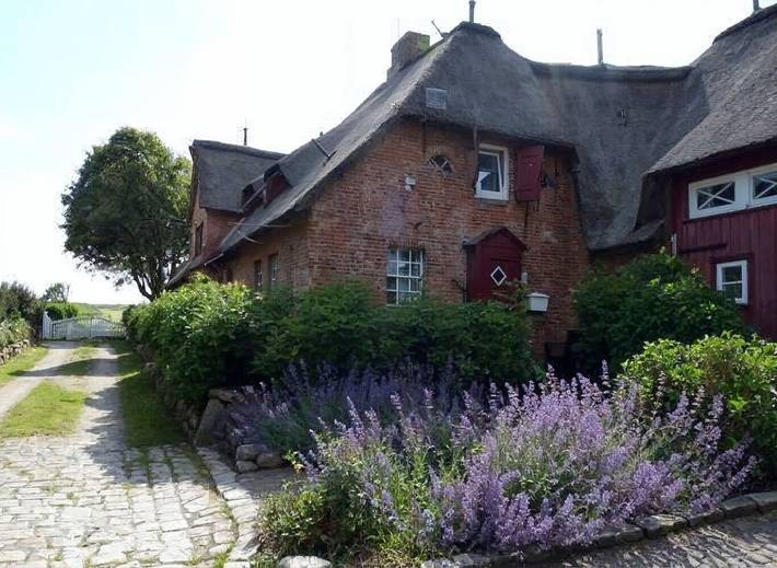 Ferienwohnung für 4 Personen, mit Terrasse und Garten sowie Sauna in Wrixum - 2