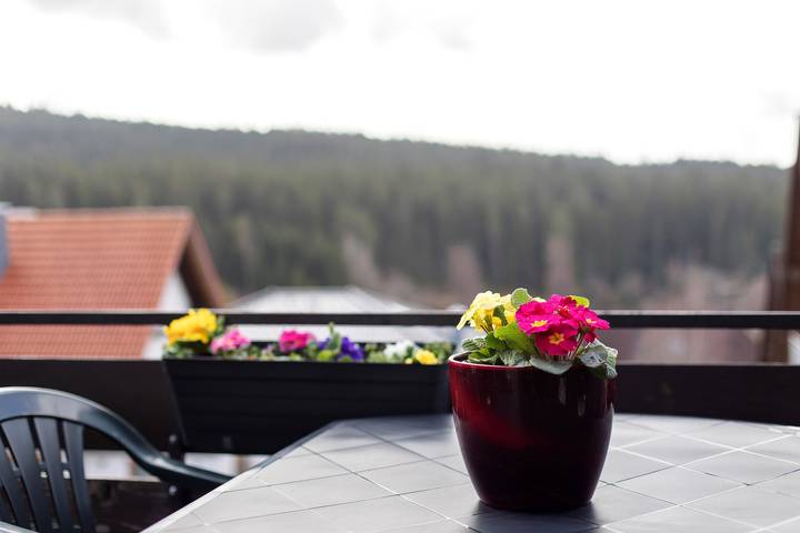 Ferienwohnung für 4 Personen, mit Garten und Seeblick in Schluchsee - 4