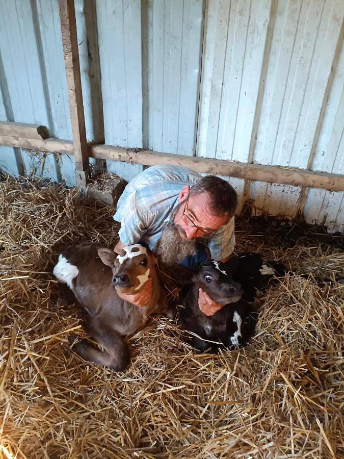 Camping pour 6 personnes, avec jardin ainsi que vue et terrasse, animaux acceptés dans Loiret - 4