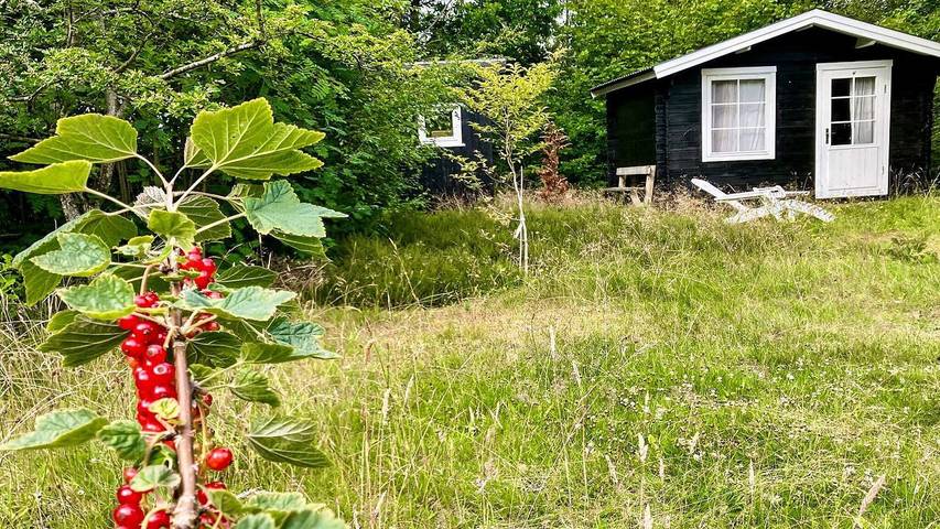 Ferienhaus für 6 Personen, mit Terrasse, mit Haustier in Amtoft - 4