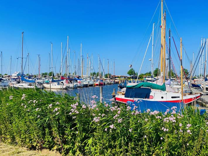 Ferienhaus für 6 Personen, mit Terrasse und Garten sowie Seeblick in Friesland - 4