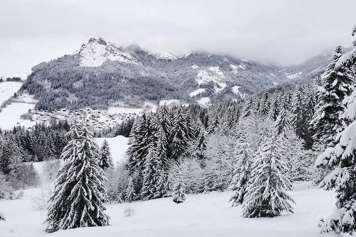 Location de vacances pour 4 personnes à Bernex