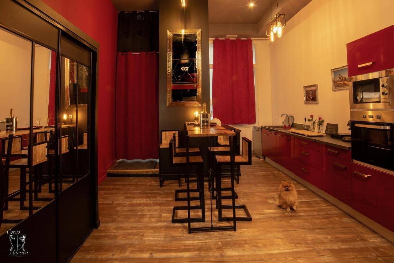 Appartement entier, Love Room Climatisé Spa Jacuzzi Sauna et Donjon - Tanière Dé-Plaisirs in Villefranche-sur-Saône, Beaujolais