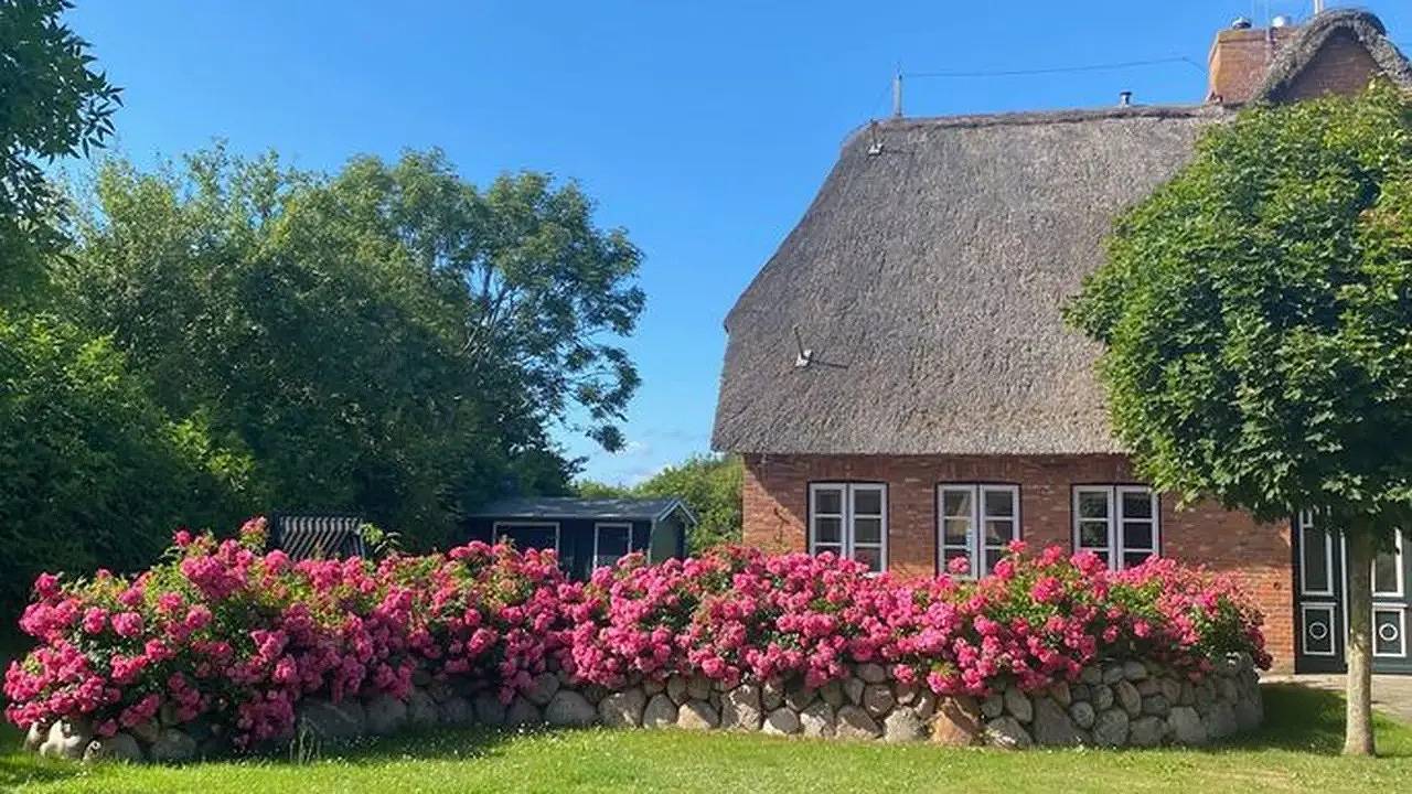 Ferienhaus für 6 Personen (130 m²) in Oevenum in Oevenum, Föhr