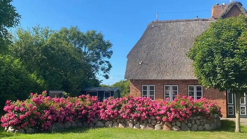Ferienhaus für 6 Personen, mit Terrasse und Garten sowie Sauna, mit Haustier in Oevenum