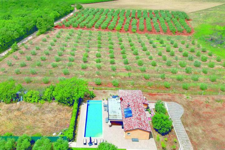 Ferienhaus für 6 Personen, mit Whirlpool und Terrasse sowie Garten